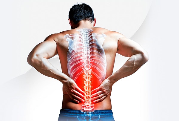 Stem Cells for Disc Regeneration