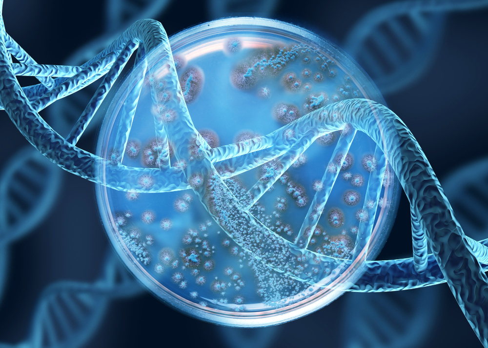 The Typical Cost of Stem Cell Therapy