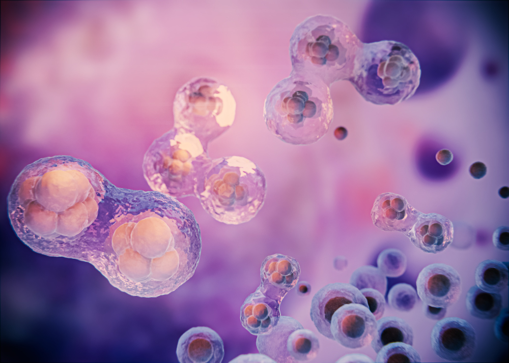 Advanced Stem Cell Therapy in Miami​