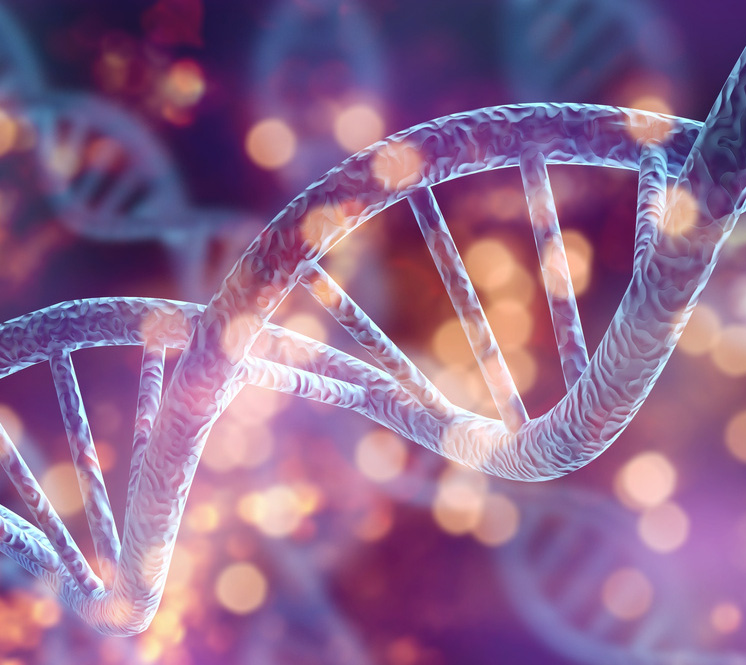 Innovative Stem Cell Treatments & Functional Recovery in Miami​