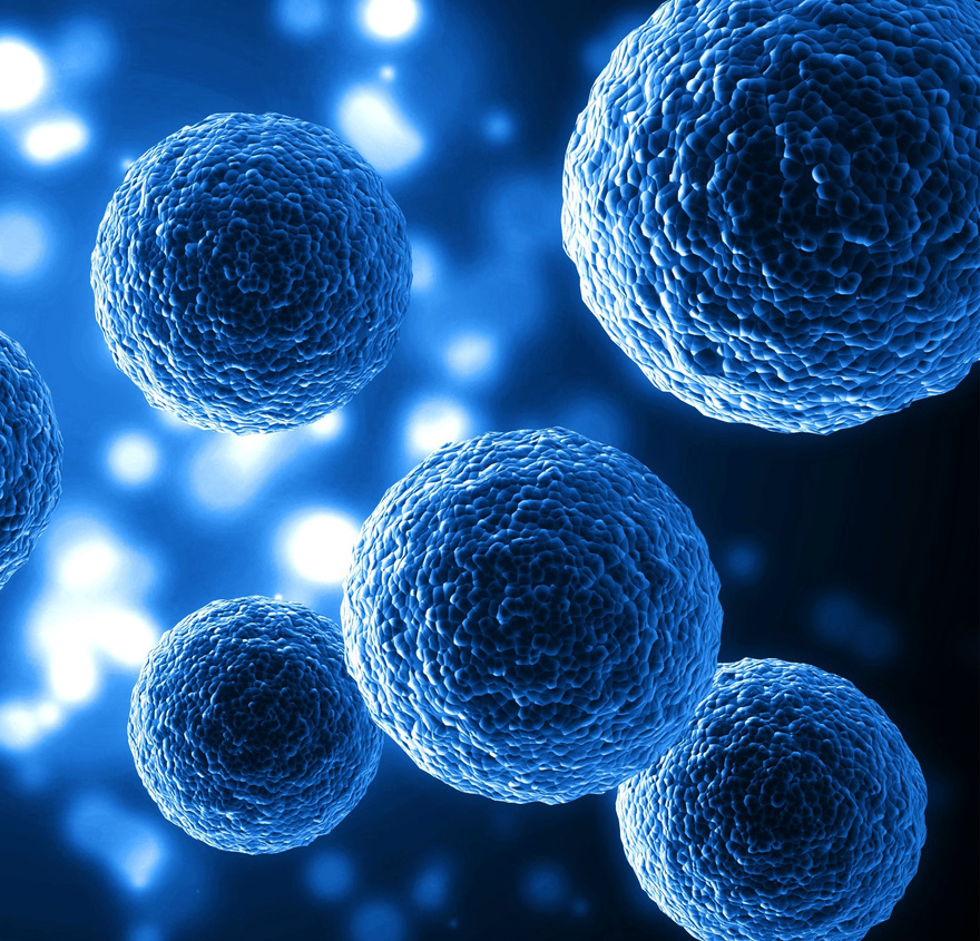 Innovative Stem Cell Treatments & Functional Recovery in Aventura​