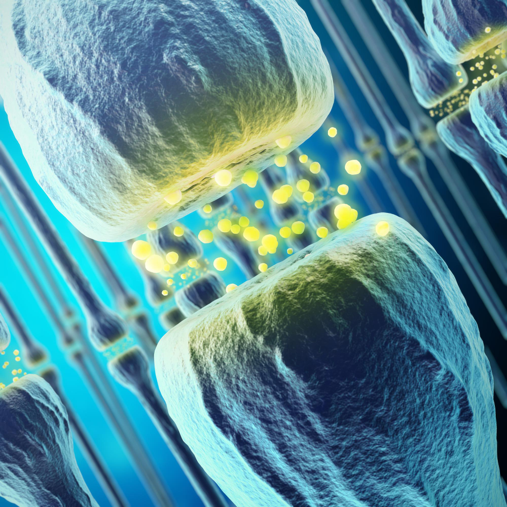 Longevity Clinic Florida: Advancing Health, Vitality, and Cellular Wellness