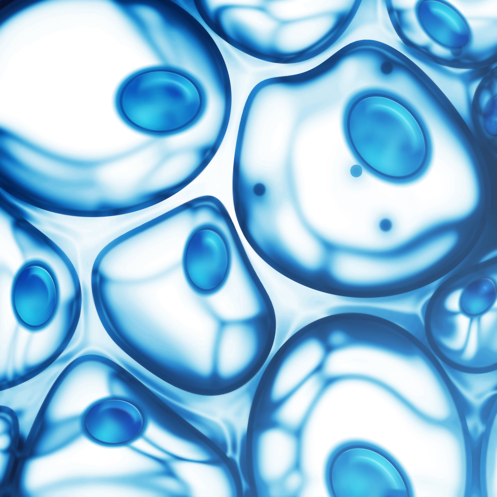 How Stem Cell Therapy May Help